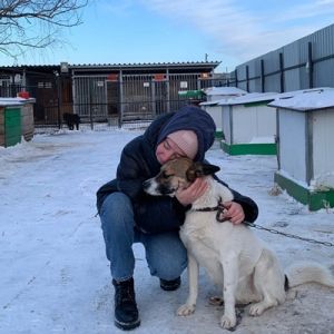 Под руководством преподавателя Дмитрия Владимировича Антоненко студенты Омского юридического колледжа посетили общественную организацию по защите животных «Друг». Ребята приехали с гостинцами для подопечных приюта.