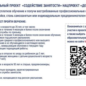 В рамках федерального проекта «Содействие занятости» нацпроекта «Демография» граждане Омской области, ищущие работу и обратившиеся в органы службы занятости, могут пройти переобучение и повышение квалификации.